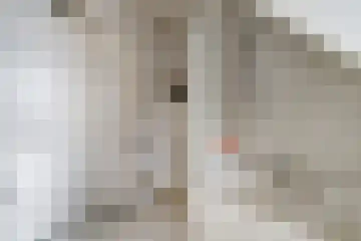 Molenveldstraat 18 Baarlo thumbnail 30