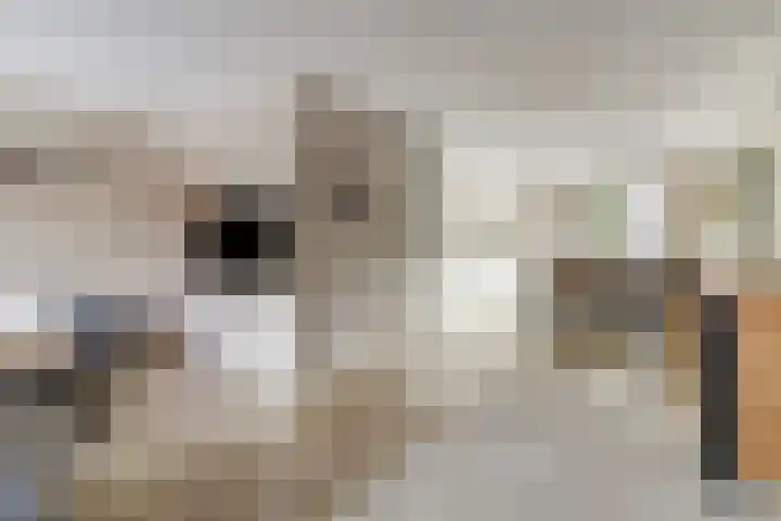 Molenveldstraat 18 Baarlo thumbnail 7
