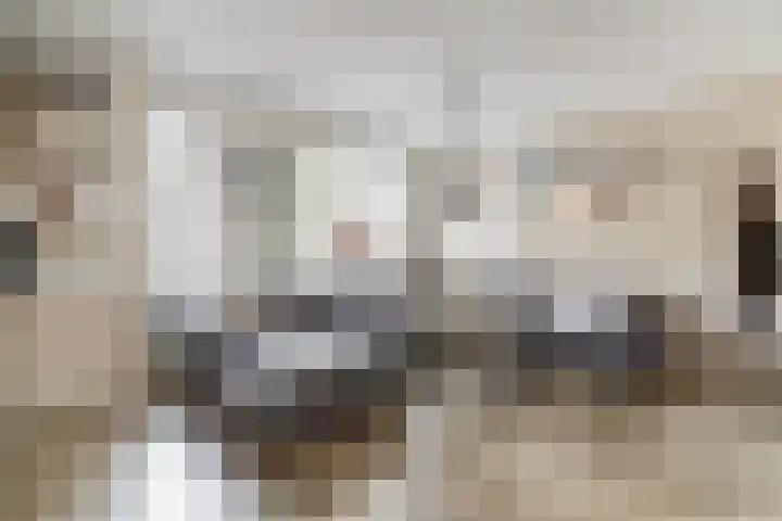 Molenveldstraat 18 Baarlo thumbnail 8