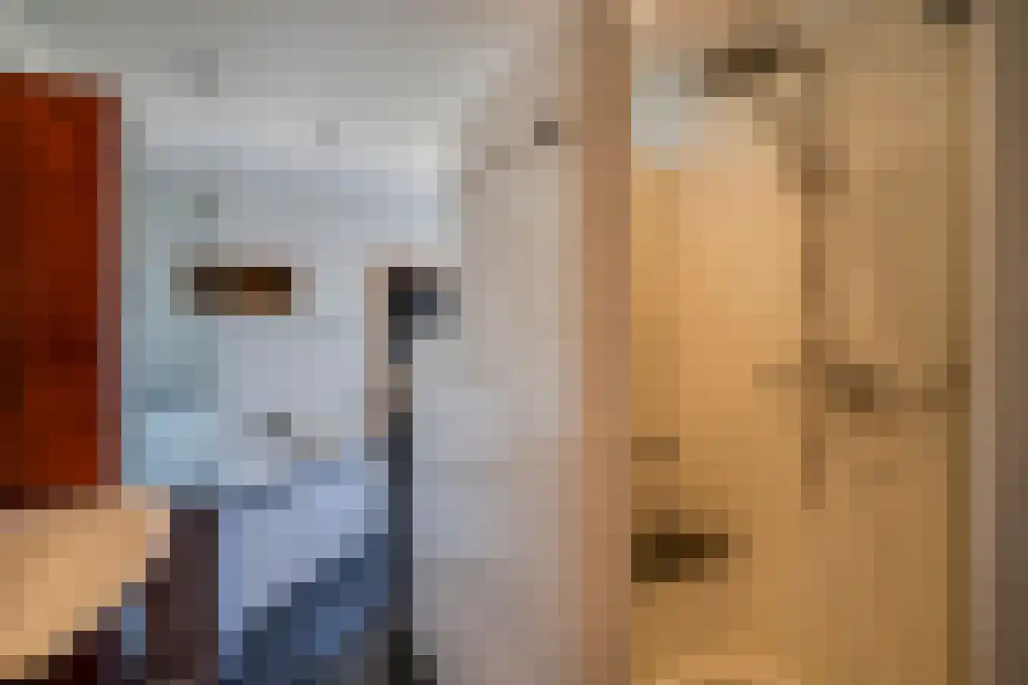 Molenveldweg 1 A Susteren thumbnail 16