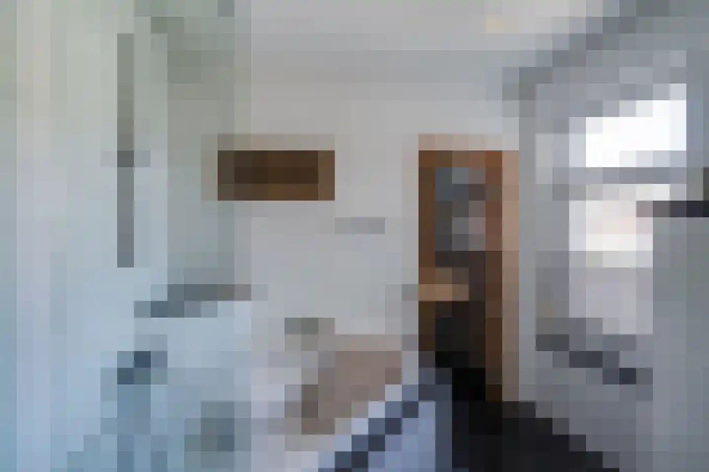 Molenveldweg 1 A Susteren thumbnail 17