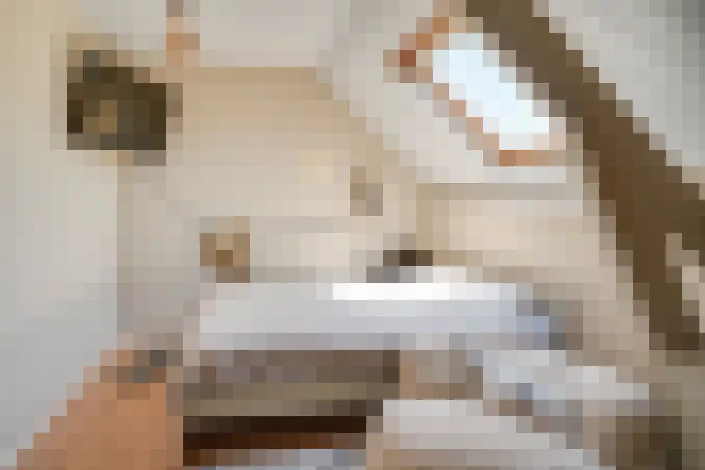 Molenveldweg 1 A Susteren thumbnail 19