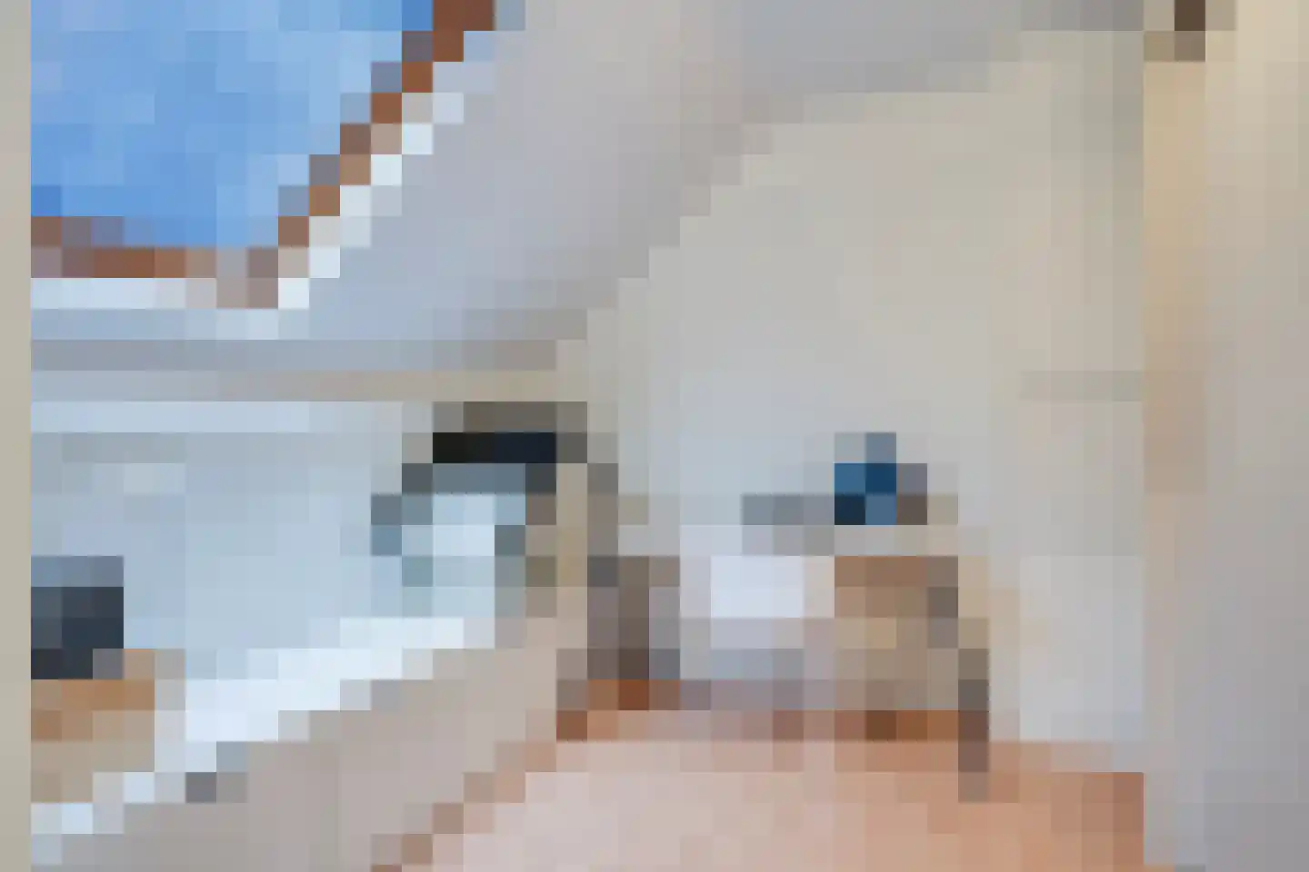 Molenveldweg 1 A Susteren thumbnail 21
