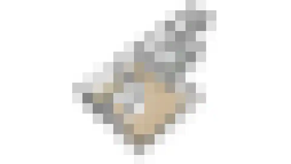 Molenveldweg 1 A Susteren thumbnail 31
