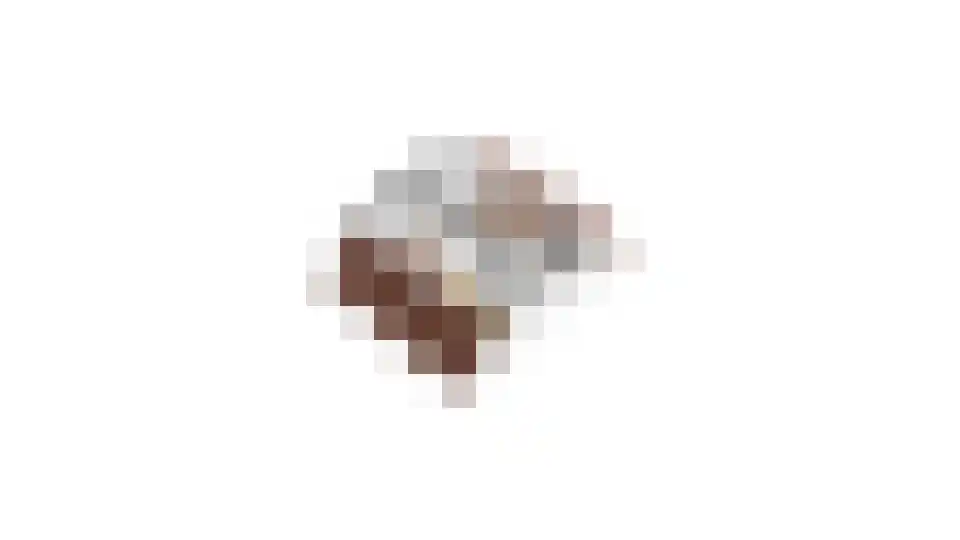 Molenveldweg 1 A Susteren thumbnail 36