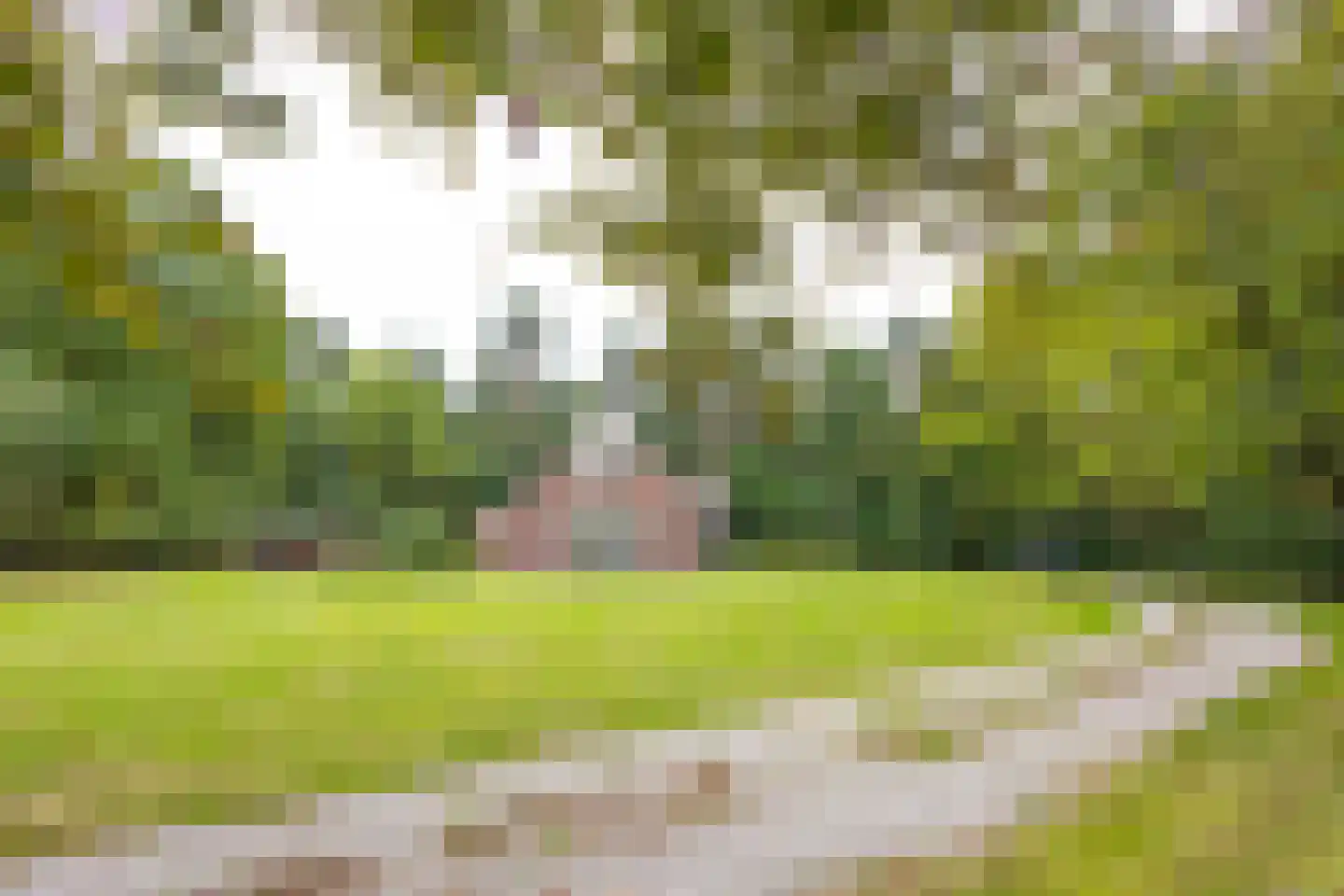 Molenveldweg 22 Haaksbergen thumbnail 30