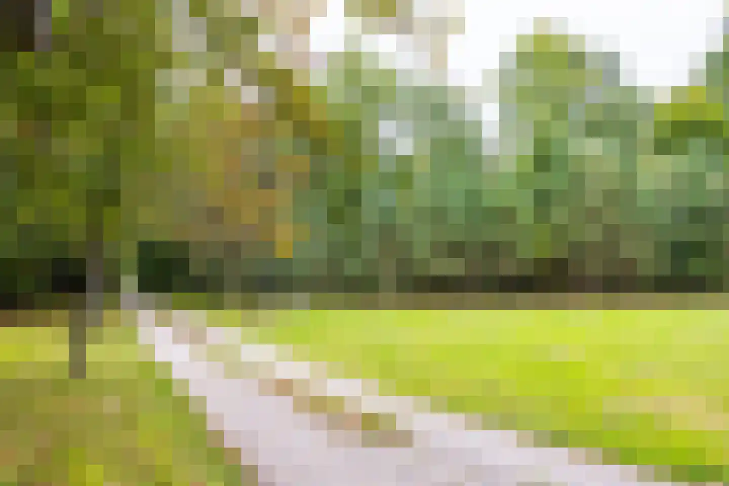 Molenveldweg 22 Haaksbergen thumbnail 31