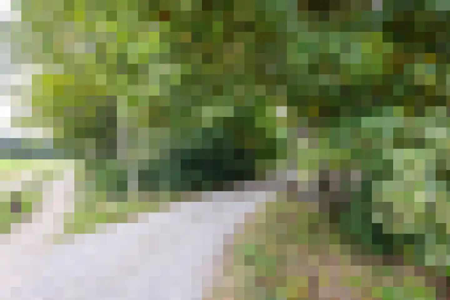 Molenveldweg 22 Haaksbergen thumbnail 33