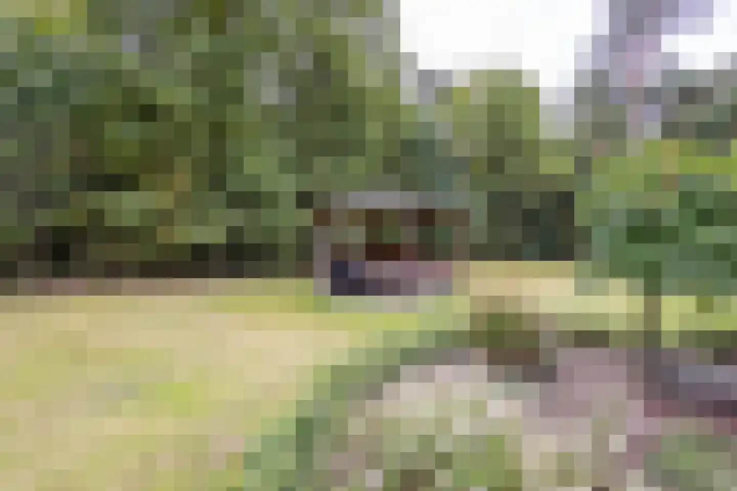 Molenveldweg 22 Haaksbergen thumbnail 34