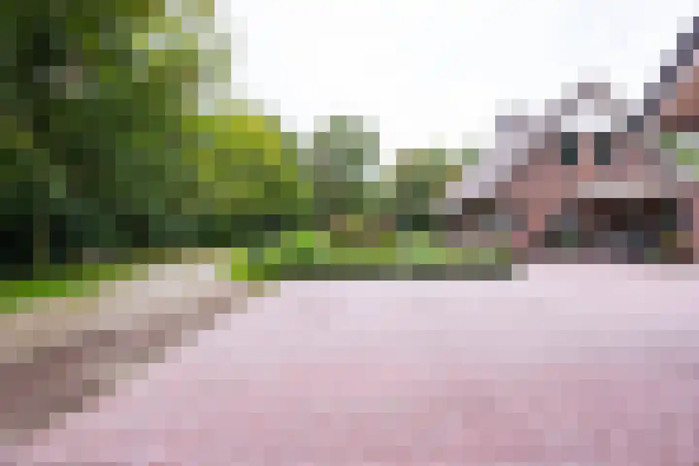 Molenveldweg 22 Haaksbergen thumbnail 6
