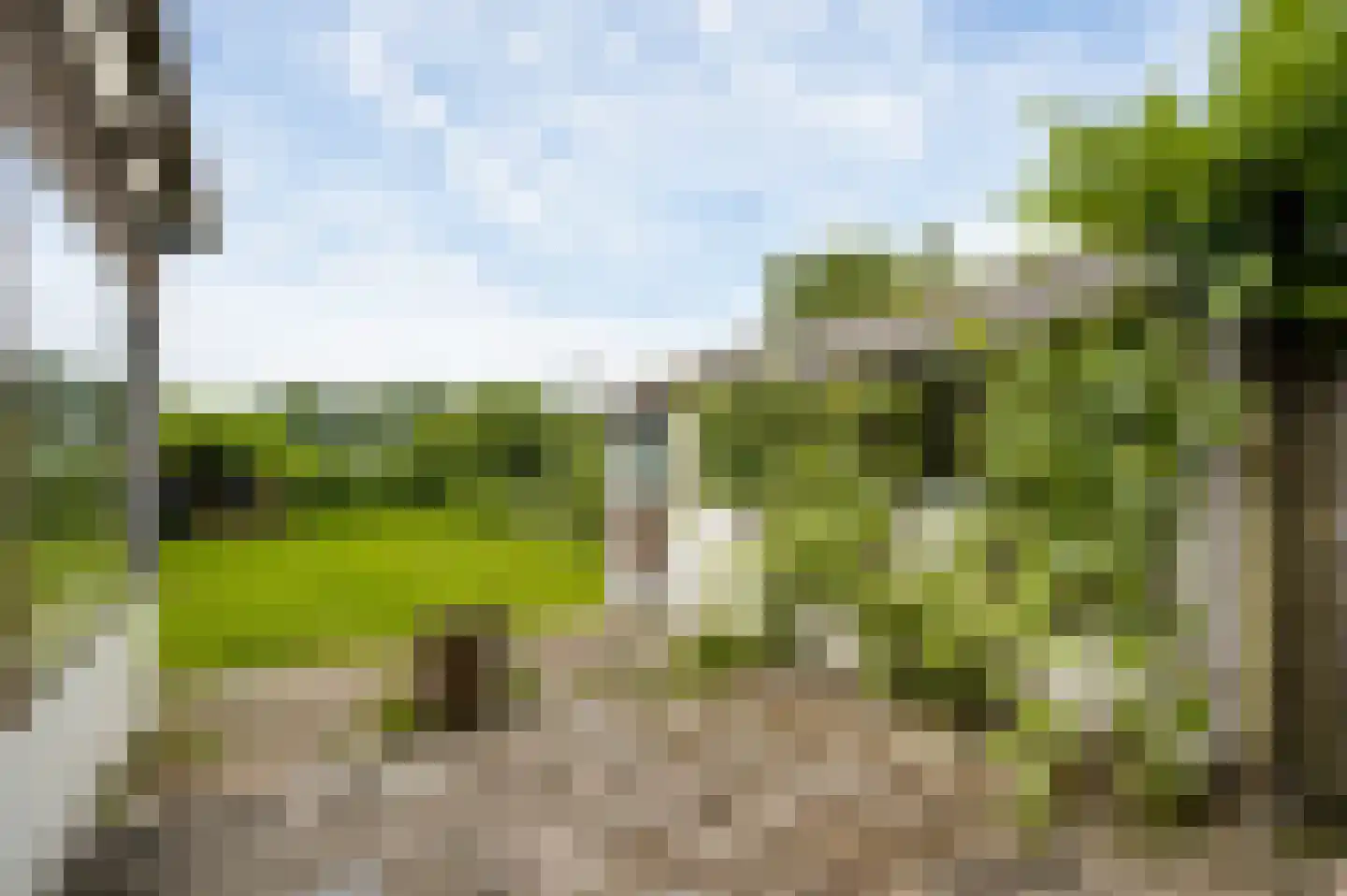 Molenveldweg 33 Sevenum thumbnail 30