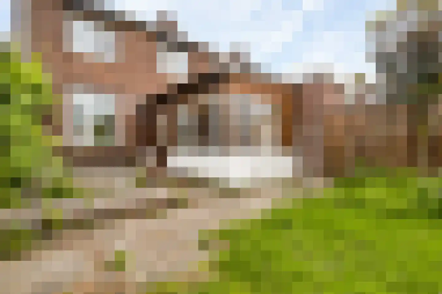 Molenveldweg 33 Sevenum thumbnail 31