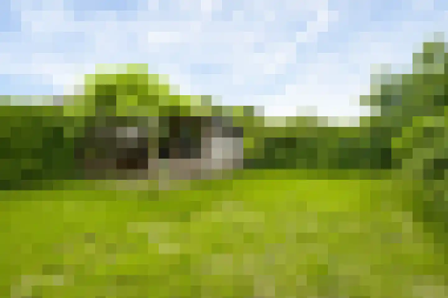 Molenveldweg 33 Sevenum thumbnail 32
