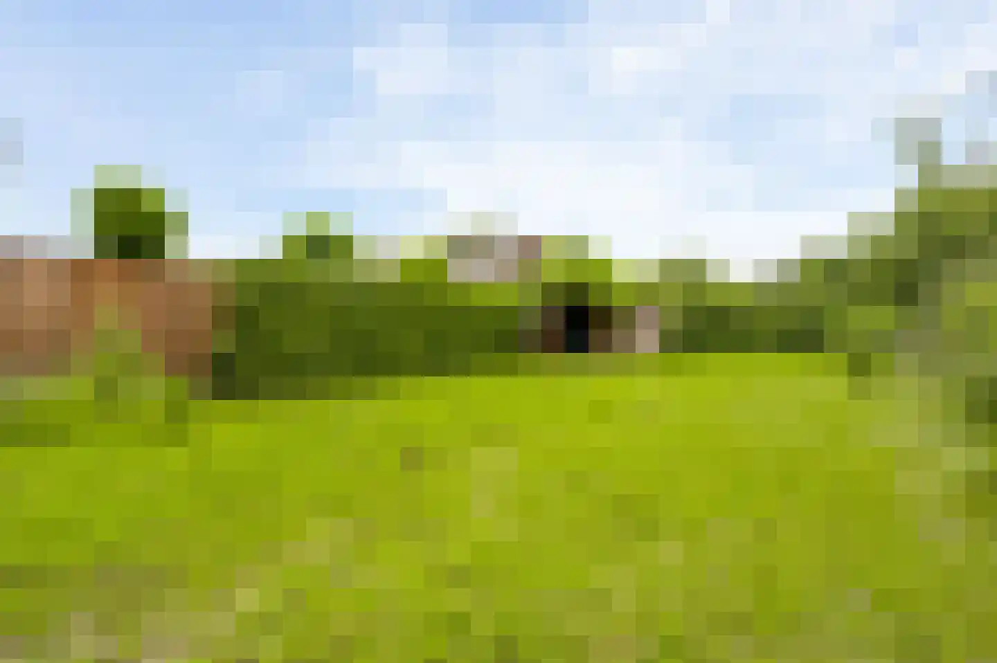 Molenveldweg 33 Sevenum thumbnail 4