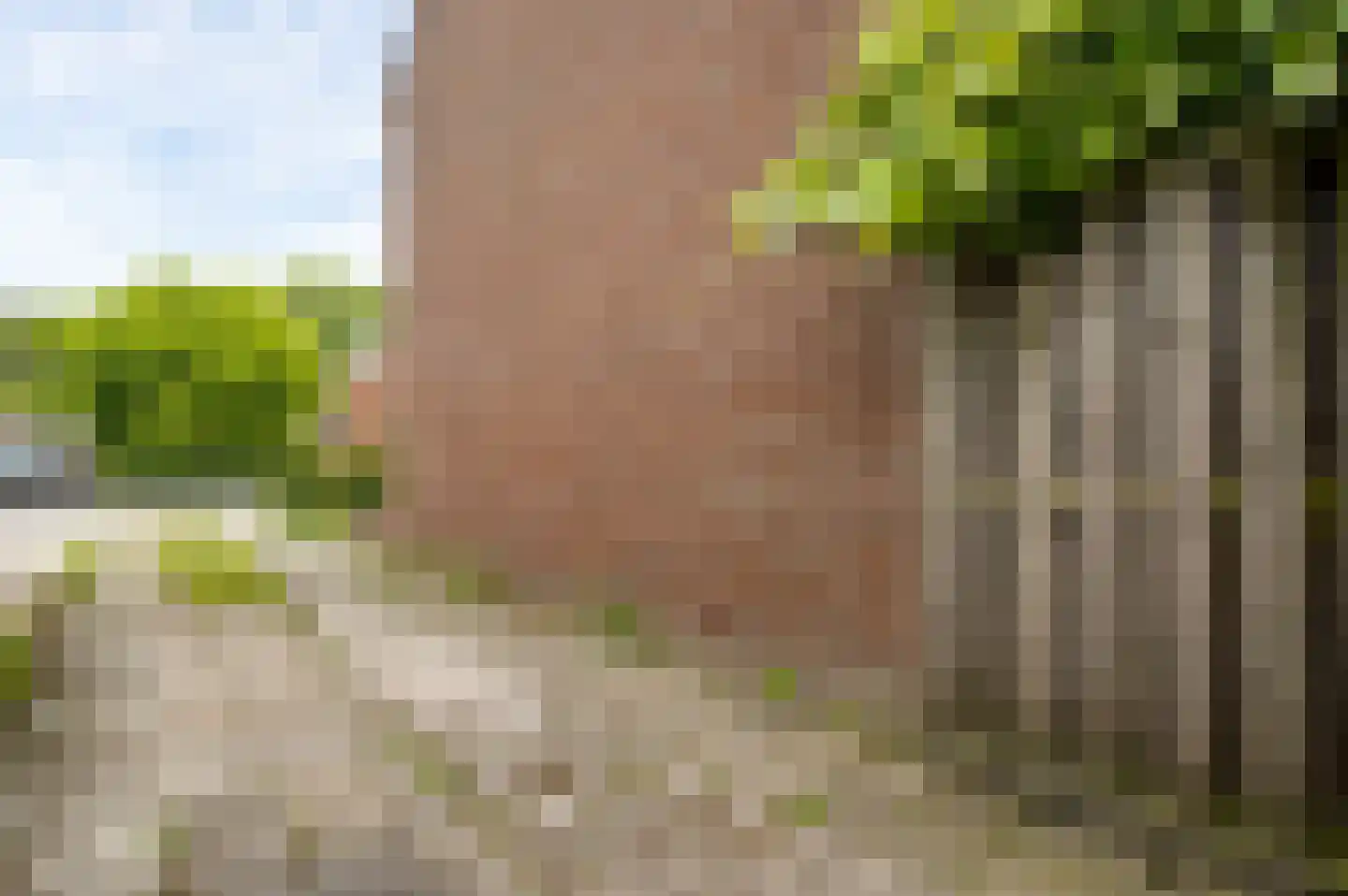 Molenveldweg 33 Sevenum thumbnail 9
