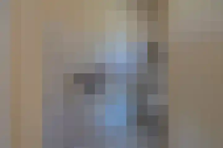 Molenveltlaan 3 Santpoort-Noord thumbnail 10