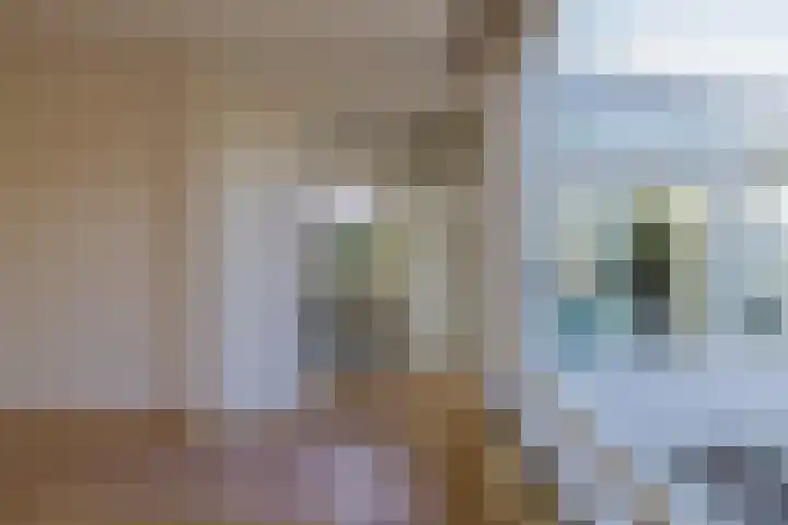 Molenveltlaan 3 Santpoort-Noord thumbnail 17