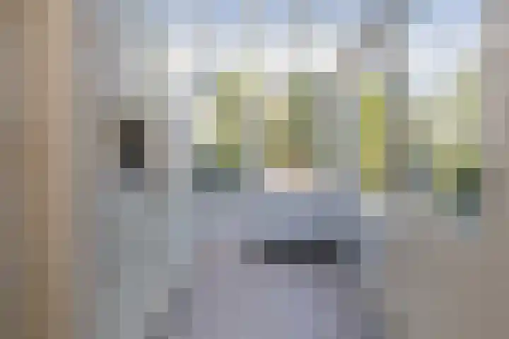 Molenveltlaan 3 Santpoort-Noord thumbnail 20