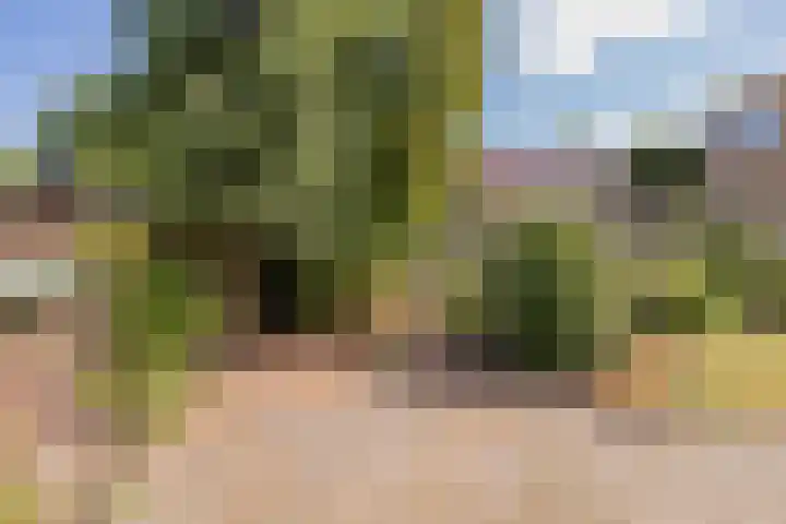 Molenveltlaan 3 Santpoort-Noord thumbnail 28
