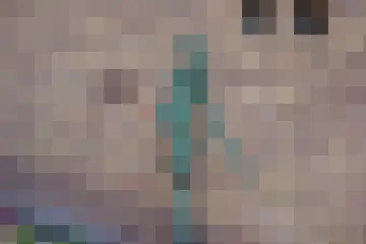 Molenveltlaan 3 Santpoort-Noord thumbnail 4