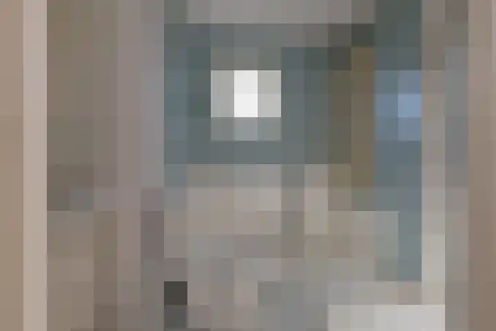 Molenveltlaan 3 Santpoort-Noord thumbnail 41