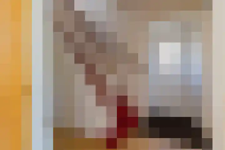 Molenveltlaan 3 Santpoort-Noord thumbnail 7