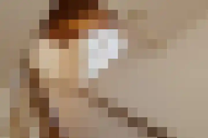 Molenveltlaan 3 Santpoort-Noord thumbnail 8