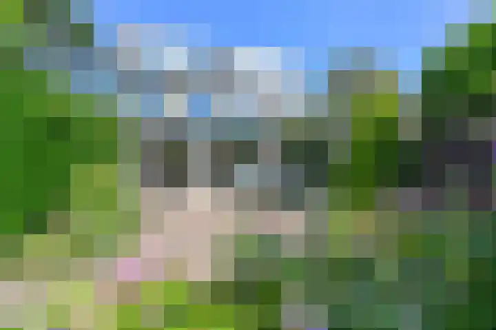 Molenveltlaan 32 Santpoort-Noord thumbnail 36