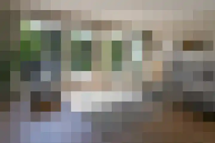 Molenveltlaan 32 Santpoort-Noord thumbnail 7
