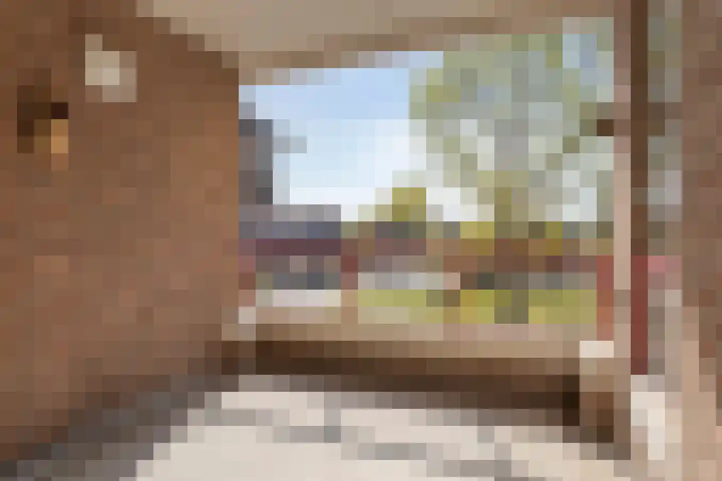 Molenveste 17 Best thumbnail 21