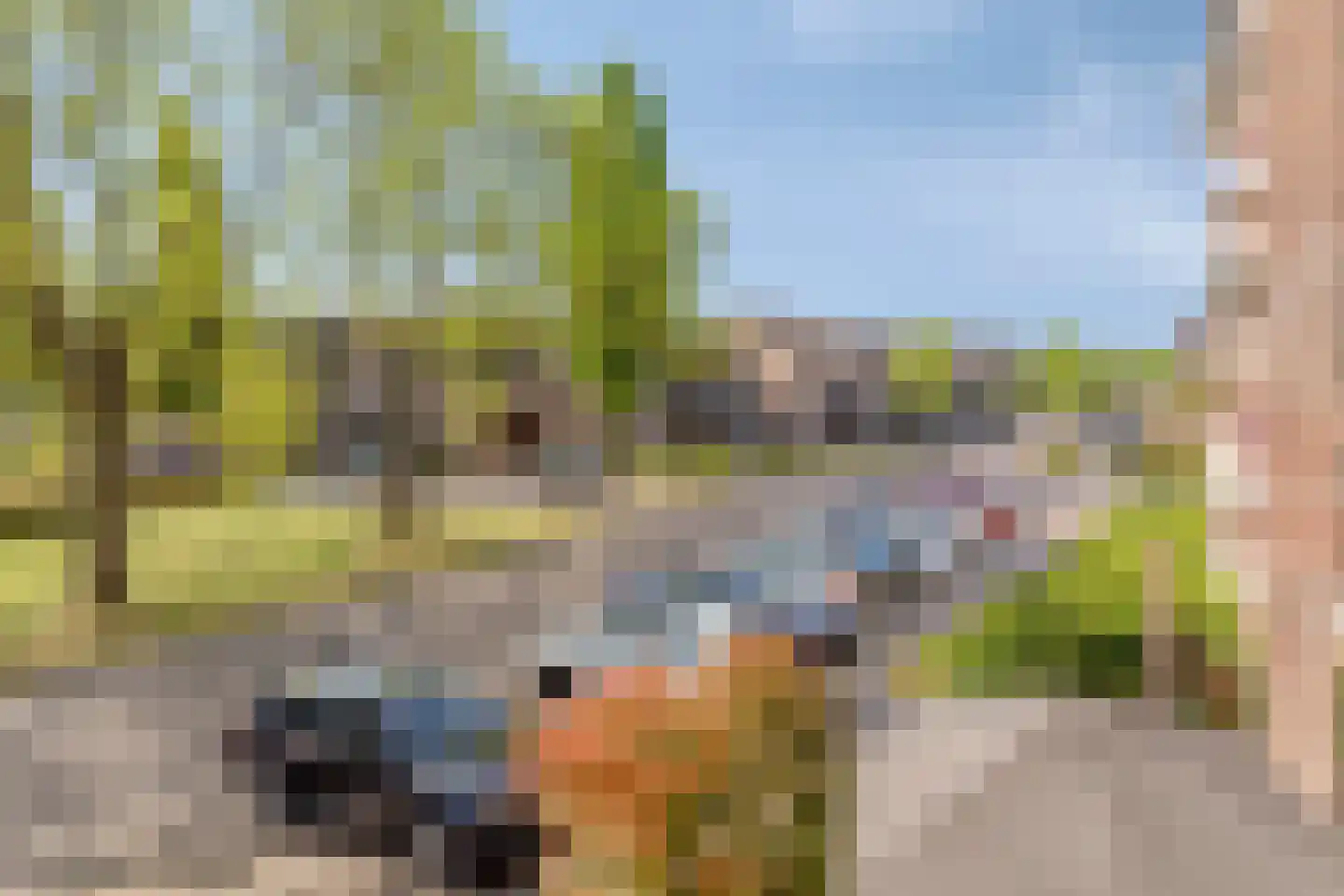 Molenveste 17 Best thumbnail 23