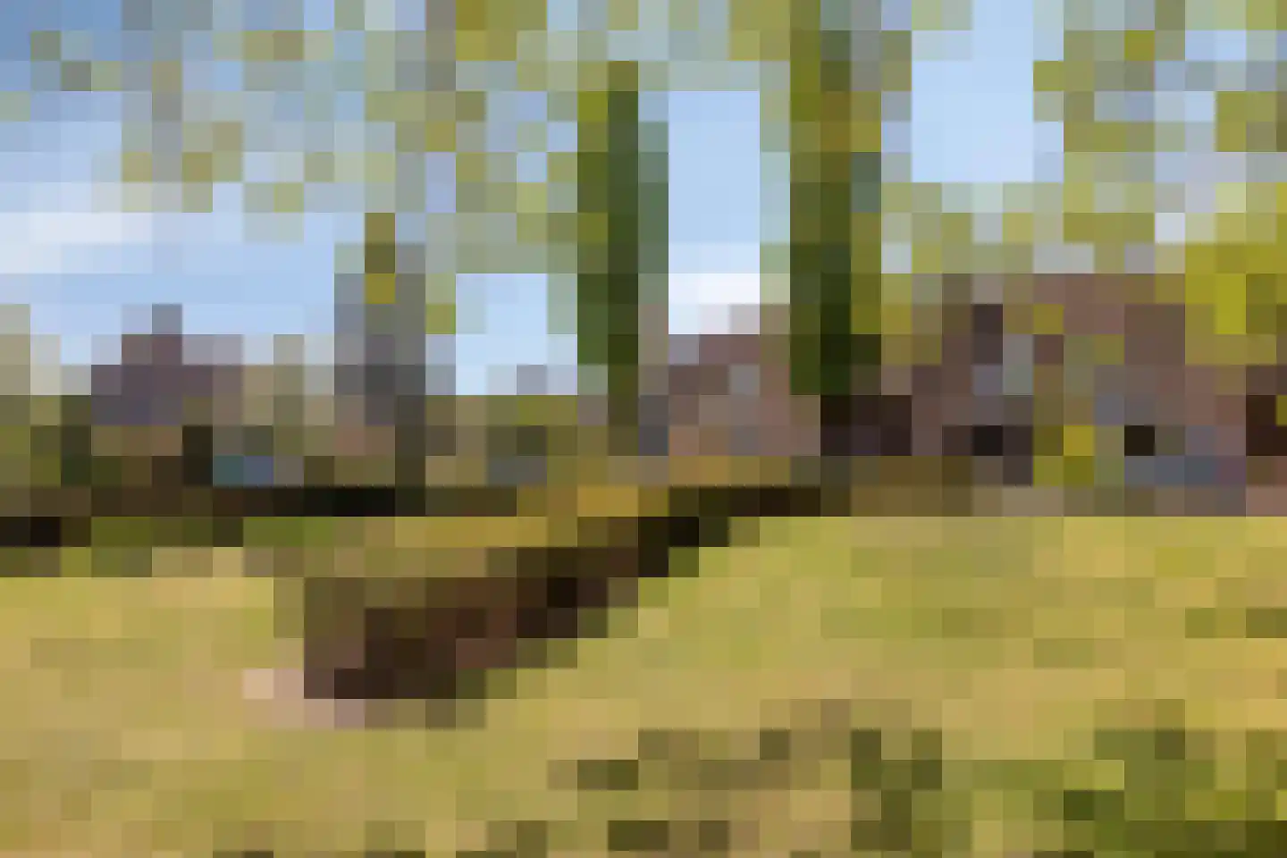 Molenveste 17 Best thumbnail 33