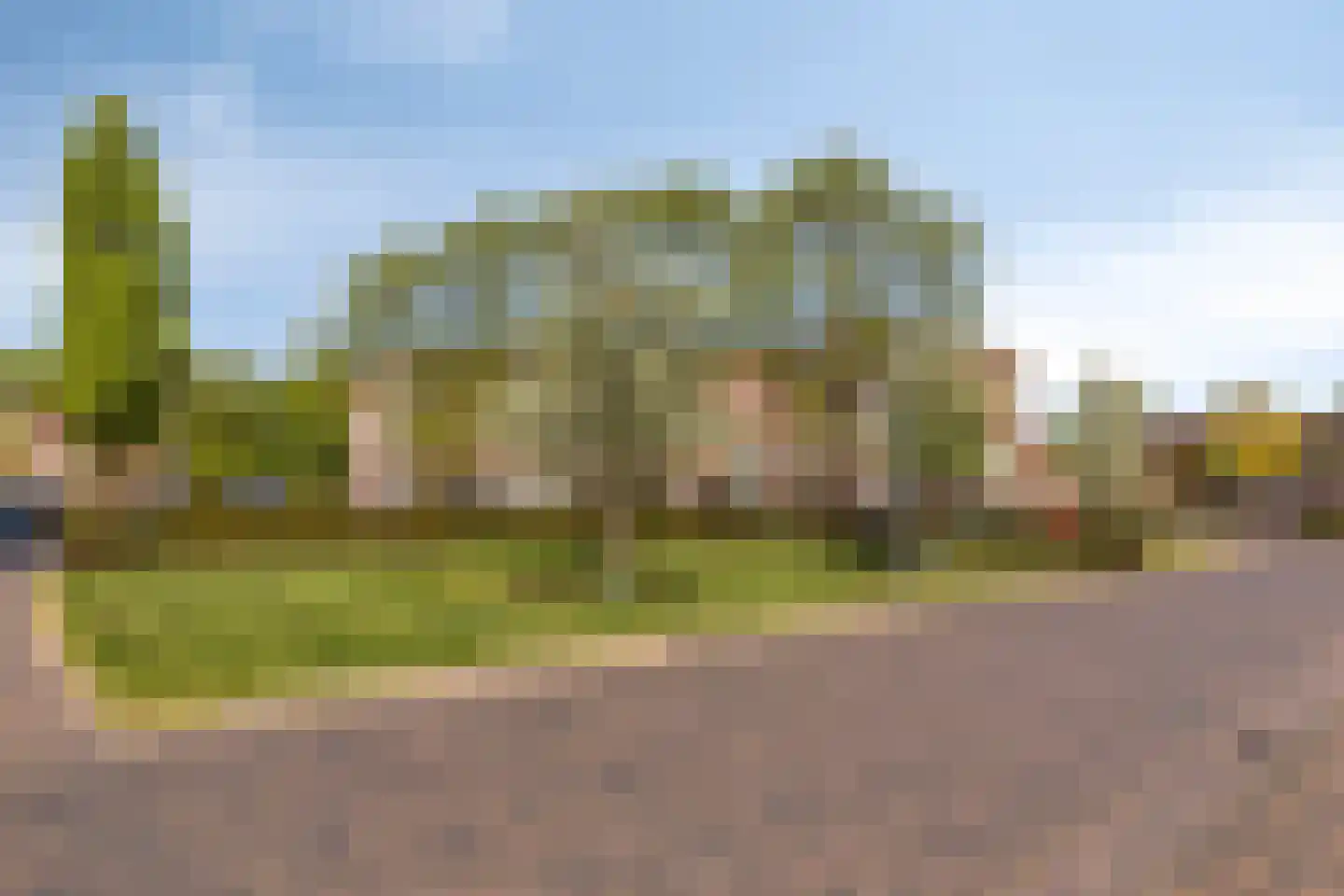 Molenveste 17 Best thumbnail 34