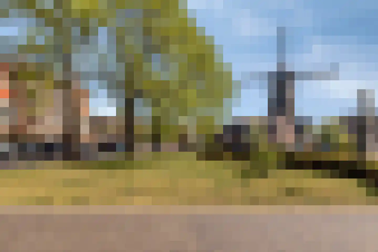 Molenveste 17 Best thumbnail 35