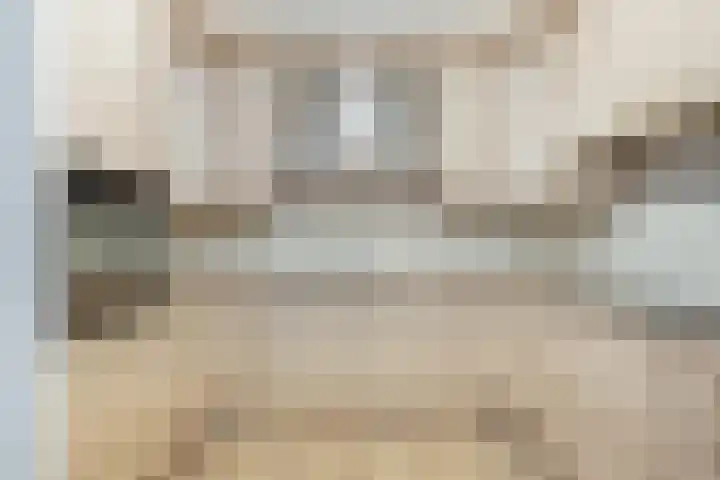 Molenveste 3 Sint-Oedenrode thumbnail 11