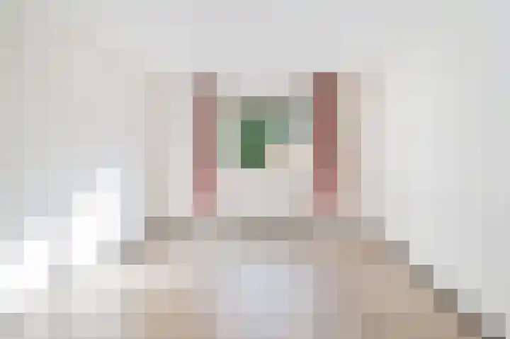 Molenveste 3 Sint-Oedenrode thumbnail 16