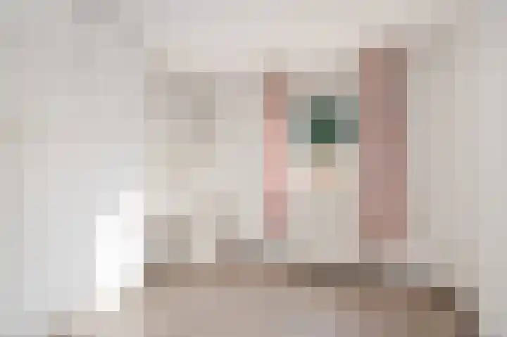 Molenveste 3 Sint-Oedenrode thumbnail 18
