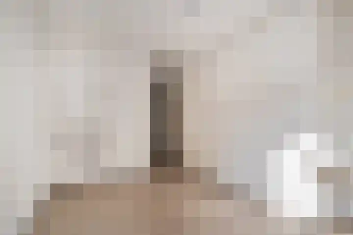 Molenveste 3 Sint-Oedenrode thumbnail 19