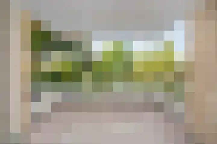 Molenveste 3 Sint-Oedenrode thumbnail 4