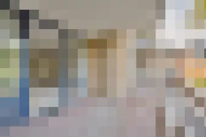Molenveste 3 Sint-Oedenrode thumbnail 8