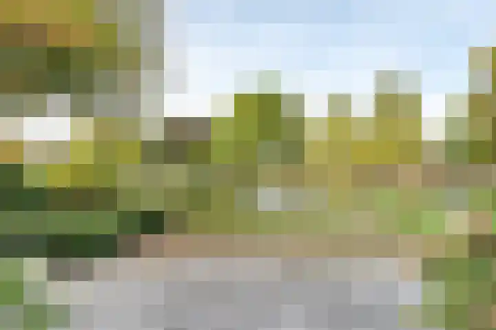 Molenveste 3 Sint-Oedenrode thumbnail 9