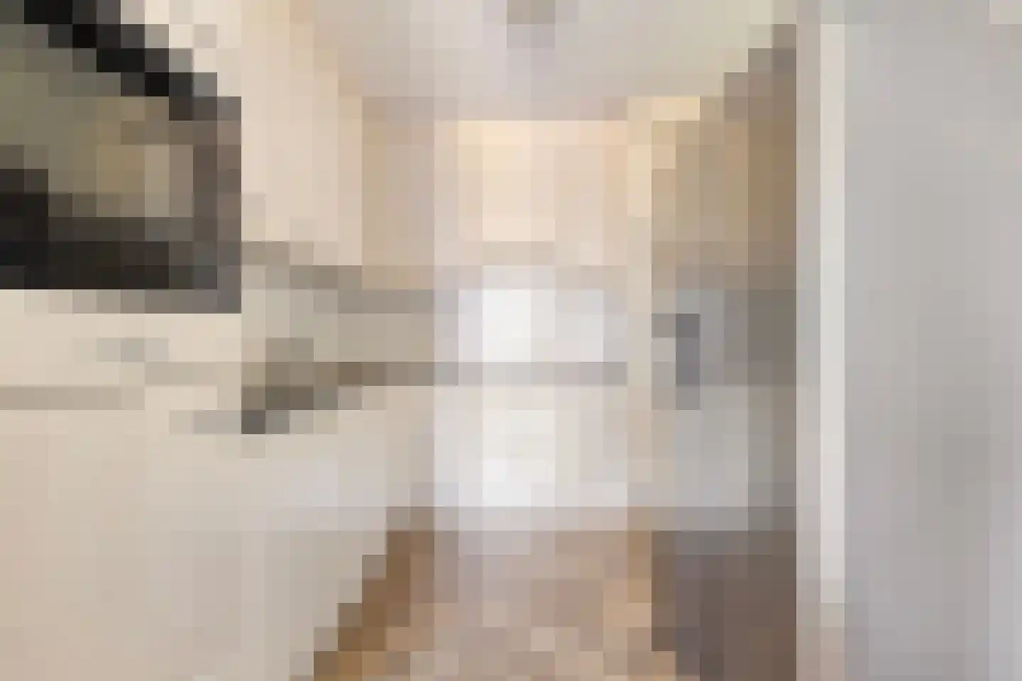 Molenveste 34 Best thumbnail 22