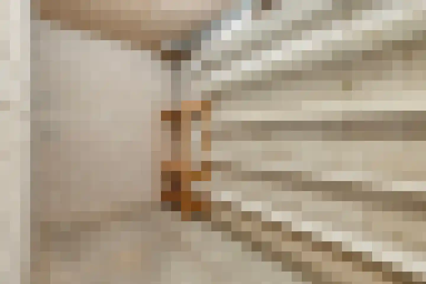 Molenveste 34 Best thumbnail 37