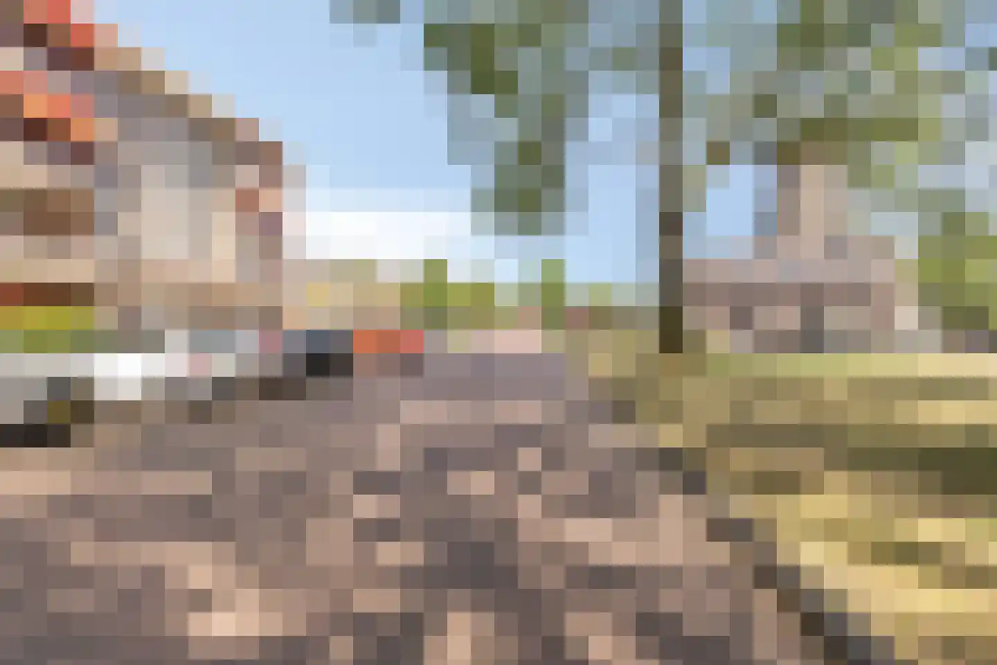 Molenveste 34 Best thumbnail 41