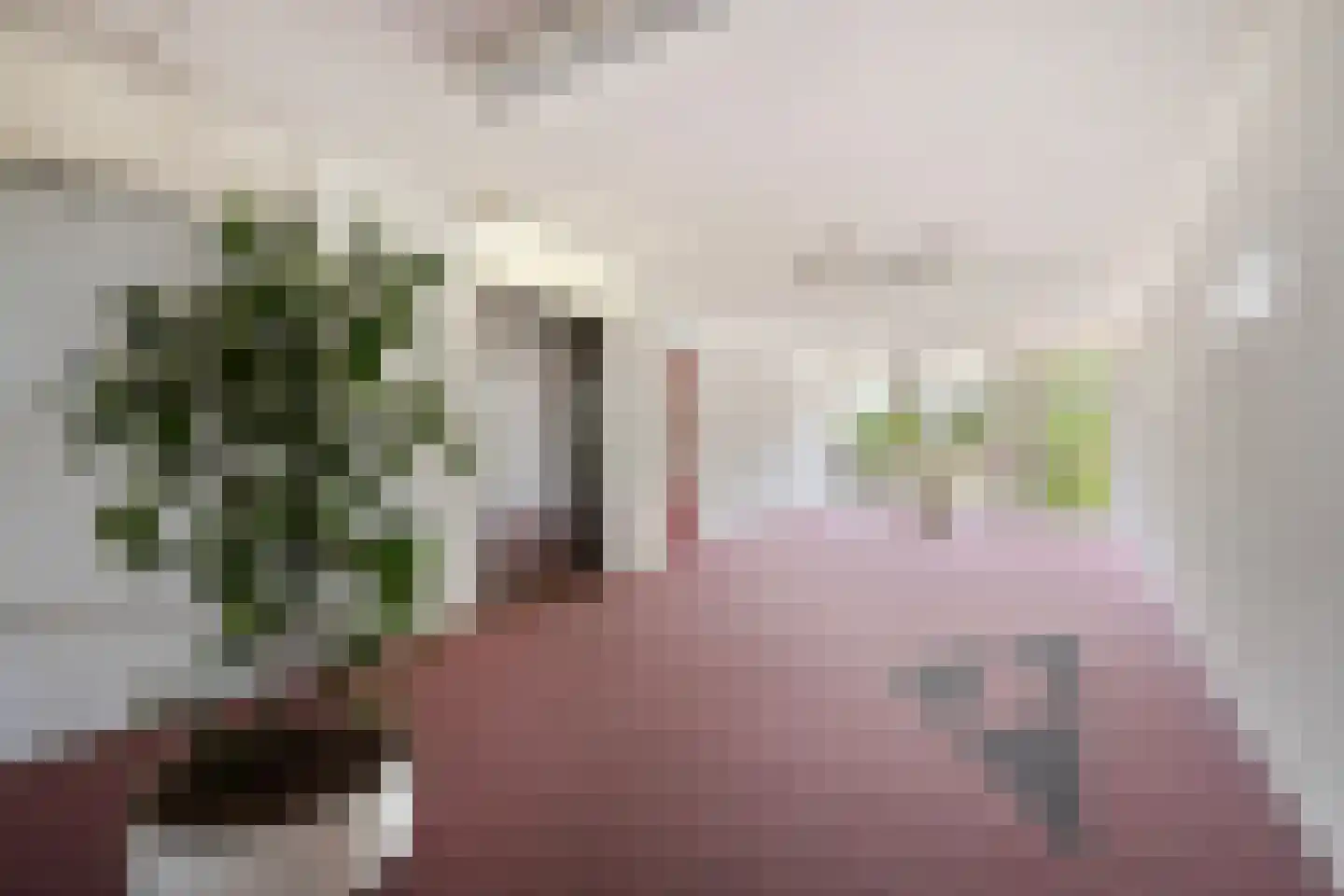 Molenveste 34 Best thumbnail 7