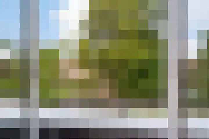 Molenvijver 18 Rotterdam thumbnail 18
