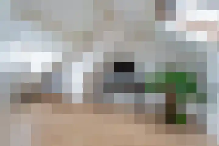 Molenvijver 18 Rotterdam thumbnail 23