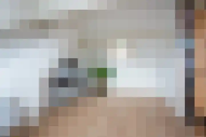 Molenvijver 18 Rotterdam thumbnail 25