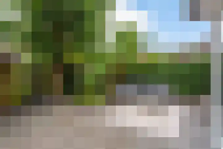 Molenvijver 18 Rotterdam thumbnail 26