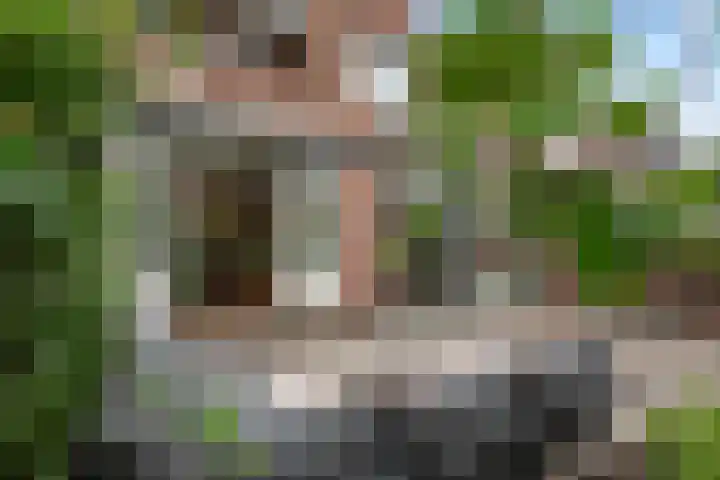 Molenvijver 18 Rotterdam thumbnail 28